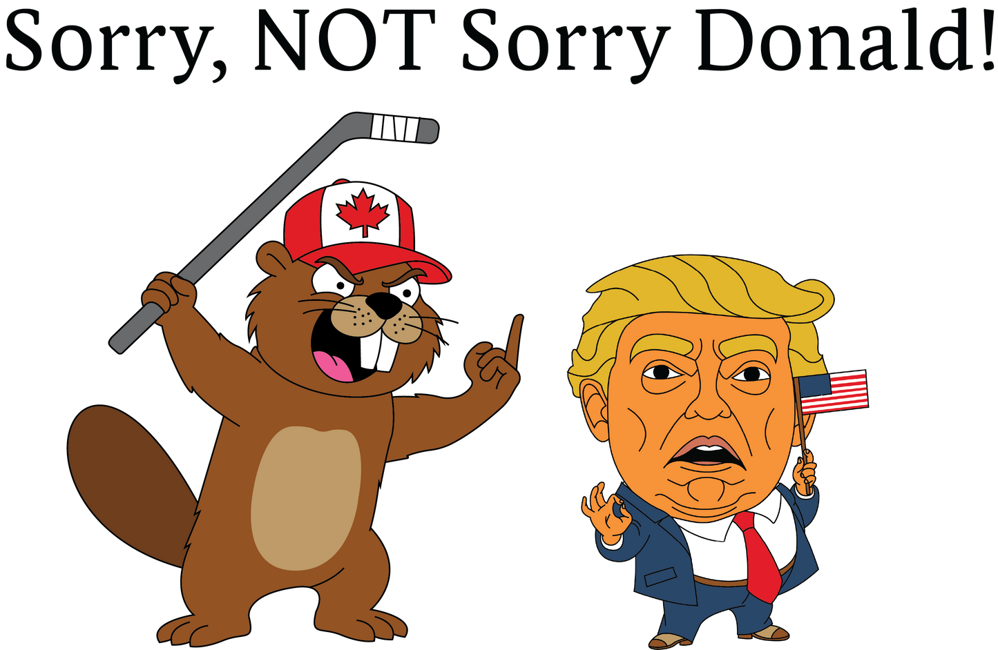 Sorry, NOT Sorry Donald! Hoodie